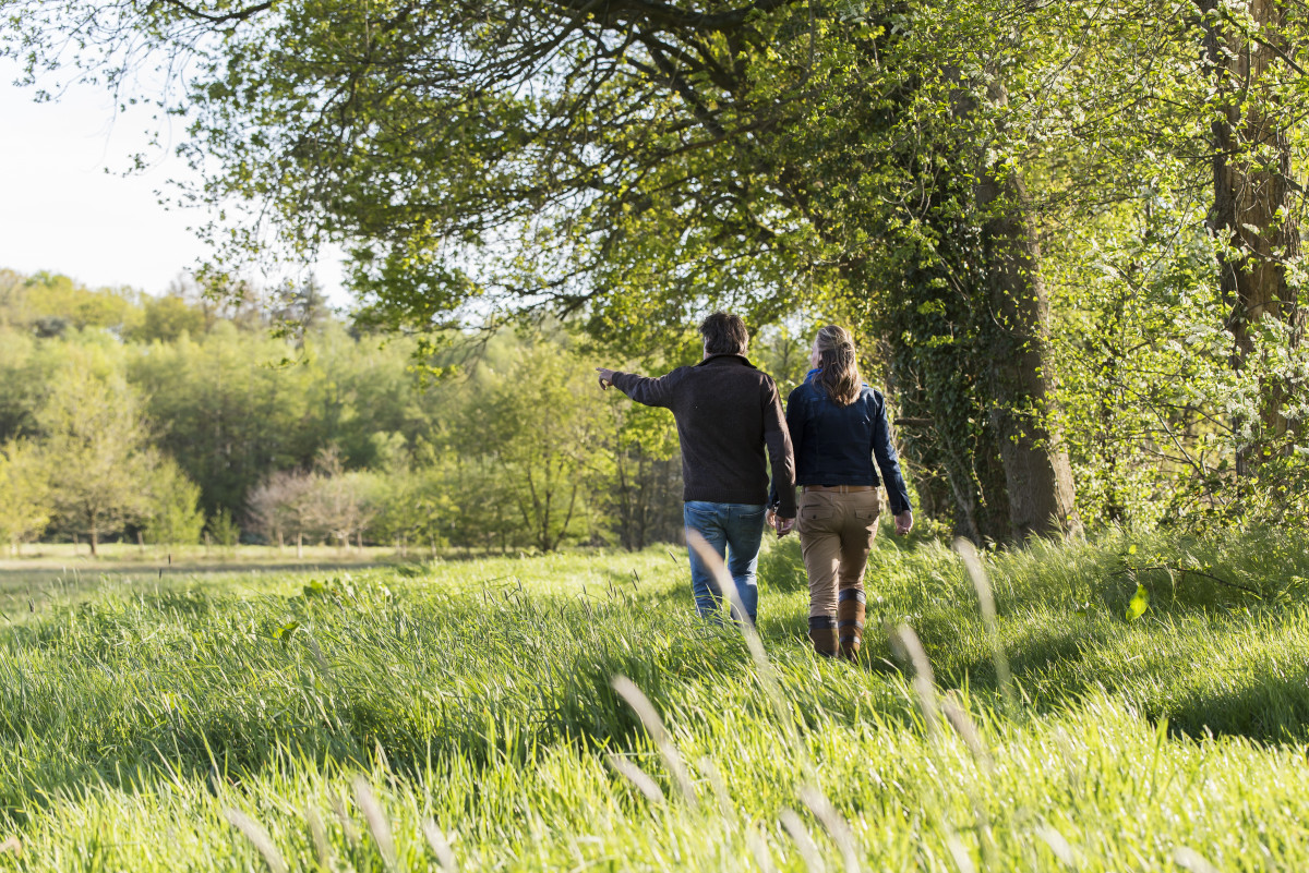 Wandelroutes In Winterswijk Vind Hier Jouw Route Routes In De