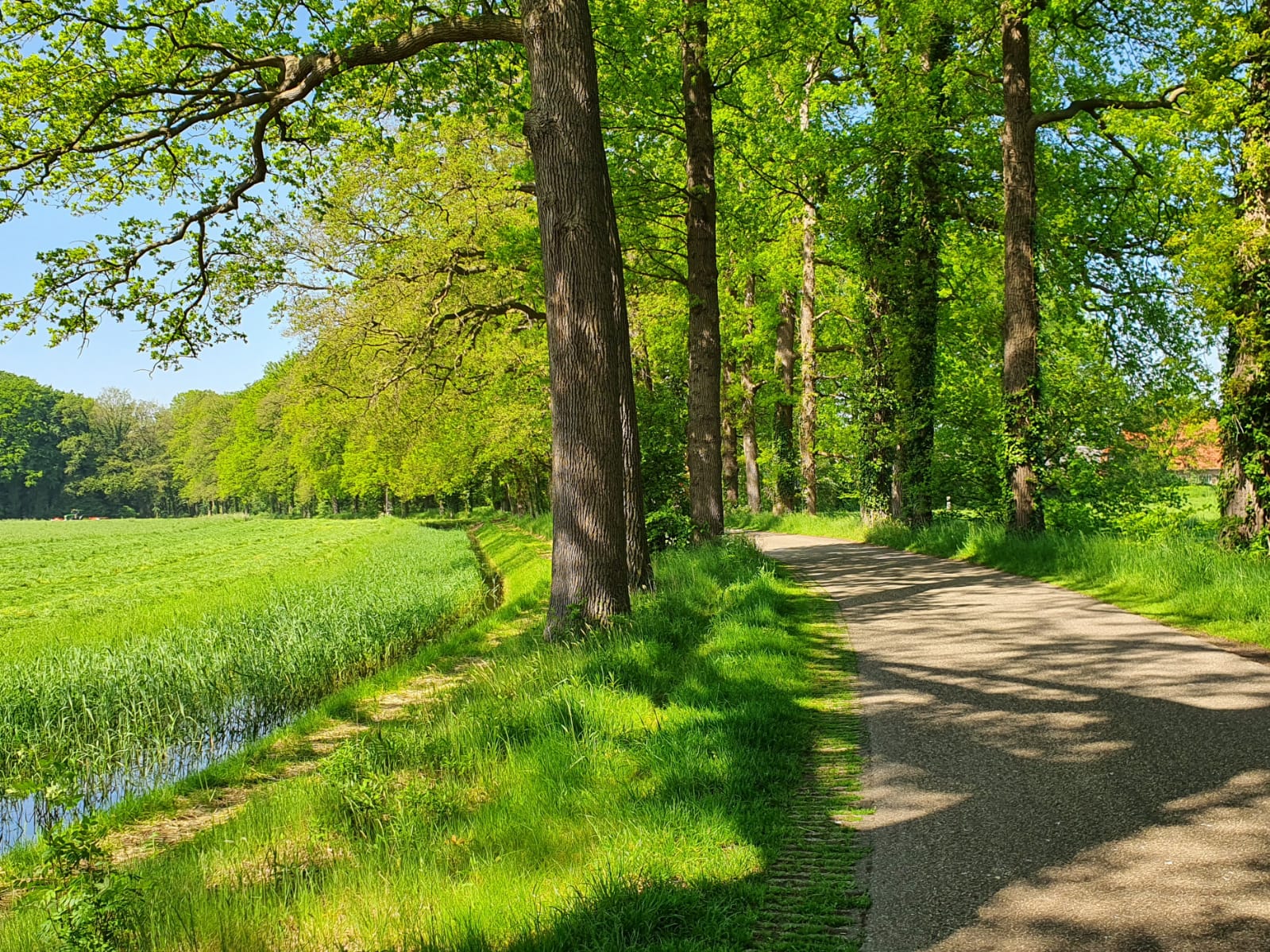 Wandelroutes In Oude IJsselstreek Vind Hier Jouw Route Achterhoek