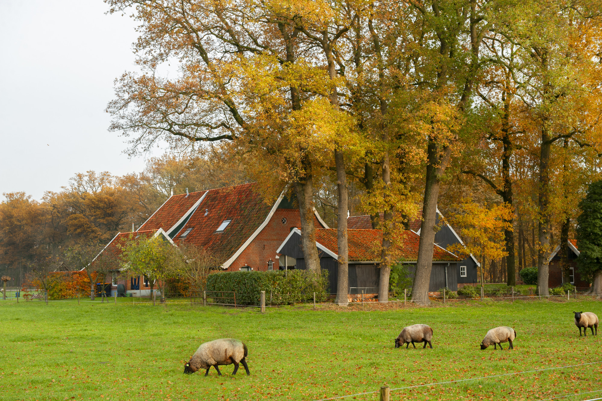 Bed & Breakfasts In De Achterhoek | Kom Tot Rust!