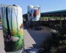 Meer weten over het kunstwerk van Smok?