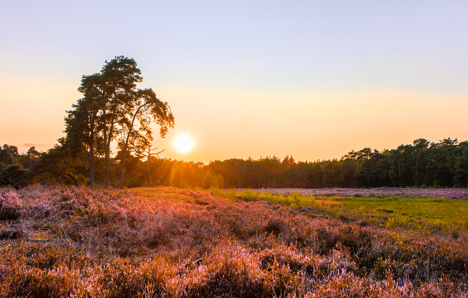 Gemeente Oude IJsselstreek Achterhoek.nl