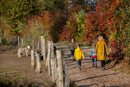 wandelen met kinderen