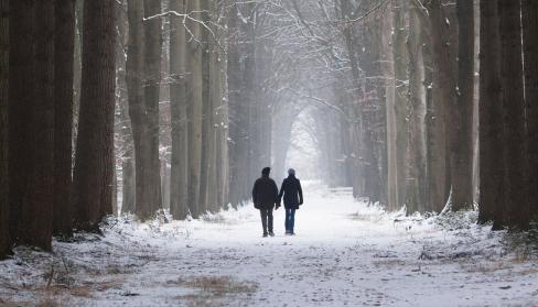 Winters wandelen