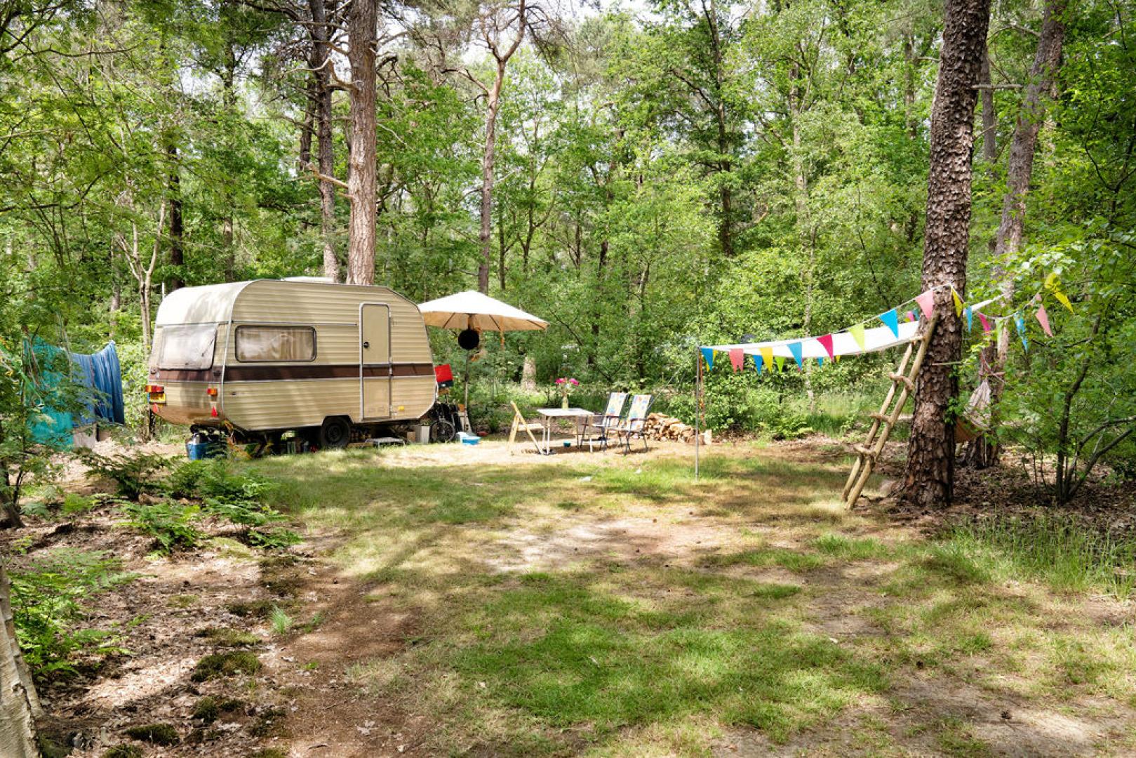 caravan midden in het bos