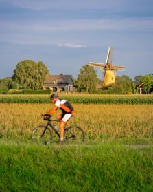 fietser met molen op de achtergrond
