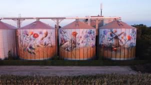 Meer weten over het kunstwerk van Collin?