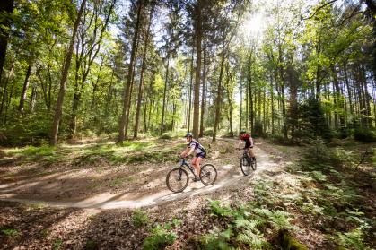 mtb'ers fietsen in het bos
