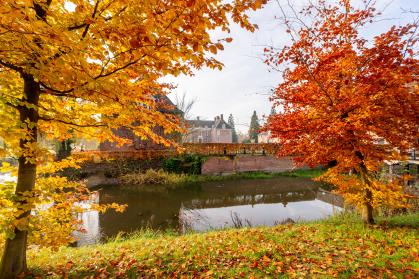 herfstwandeling langs kasteel slangenburg