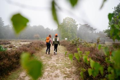 Wandelaars op de Gorsselse heide