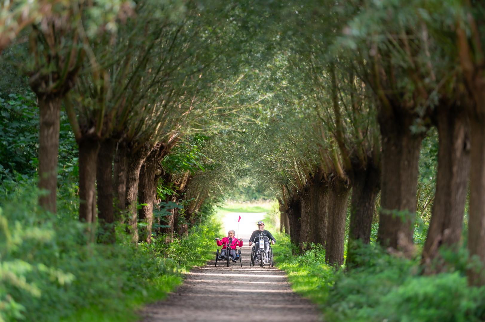 Handbiken in de Achterhoek