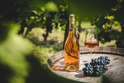 Fles en glas rose in een Achterhoekse wijngaard op een vat