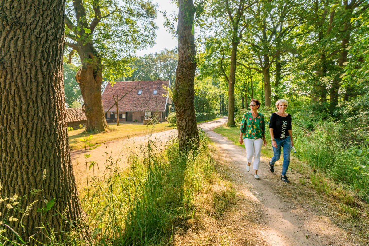 Wandelen In De Achterhoek | Achterhoek.nl